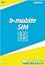 b-mobile 高速定額 SIMカード 音声通話 申込パッケージ