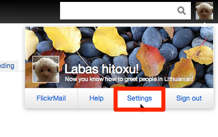 Flickr: Your Account