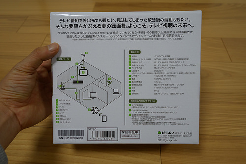 DSC08308.JPG