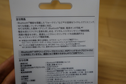 DSC09256.JPG