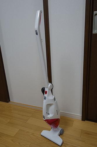 DSC08266.JPG