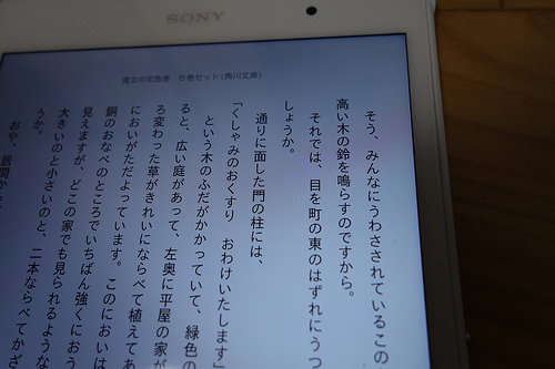 DSC00820.JPG