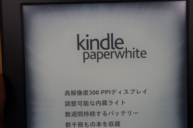 DSC07839.JPG