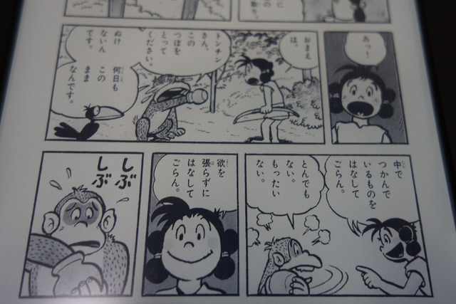 DSC07866.JPG