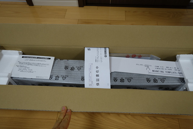 DSC08000.JPG