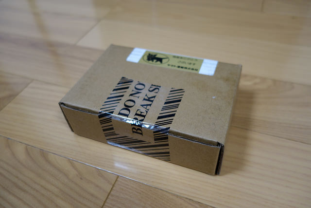 DSC00055.JPG