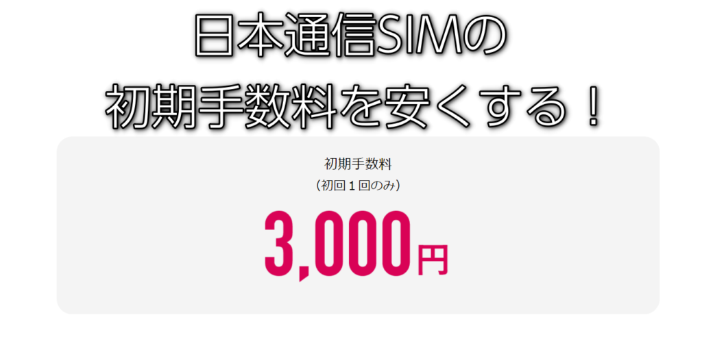 855円 定期入れの 日本通信SIM スターターパック ドコモネットワーク NT-ST-P